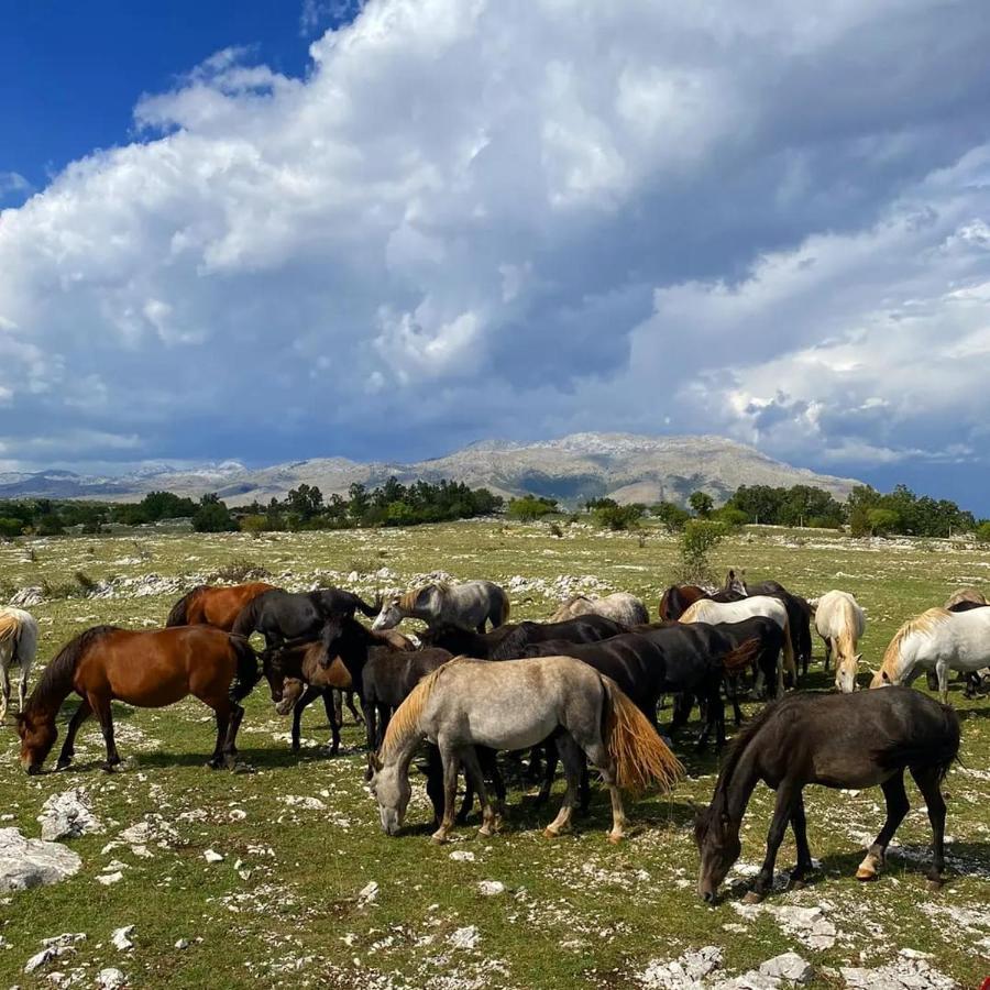 Holiday Resort Zlatni Dol Mostar Goranci Экстерьер фото